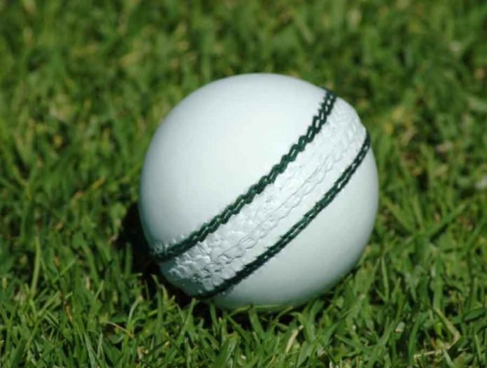 The three-team cricket league announced on Friday for retired cricketers will be played twice a year.